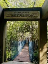 City Mangrove Park – A Perfect Summer Escape into Nature