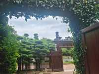 Nan Lian Garden.
