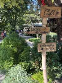 ☕🌿 The Humble Jack Cafe & Bistro