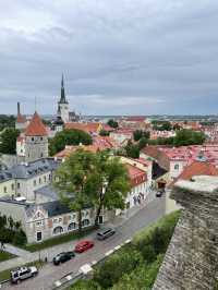 🛳️✨ 헬싱키에서 떠나는 동화 속 하루 여행 Tallinn 당일치기 투어 가이드 🇪🇪💙