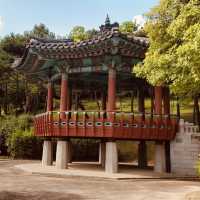 🌆 Solo Adventure: Gwangju’s Hidden Gems in a Day