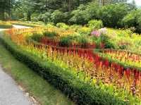 Garden of Morning Calm – A Serene Escape Near Seoul