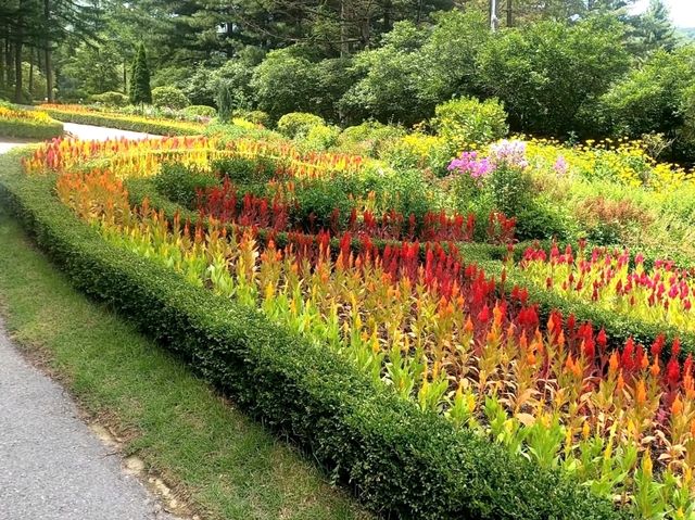 Garden of Morning Calm – A Serene Escape Near Seoul