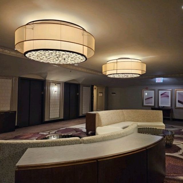 【シカゴ】シカゴHilton宿泊レビュー🌠