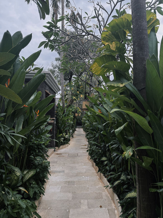 🇮🇩 Bali Trip June 2025