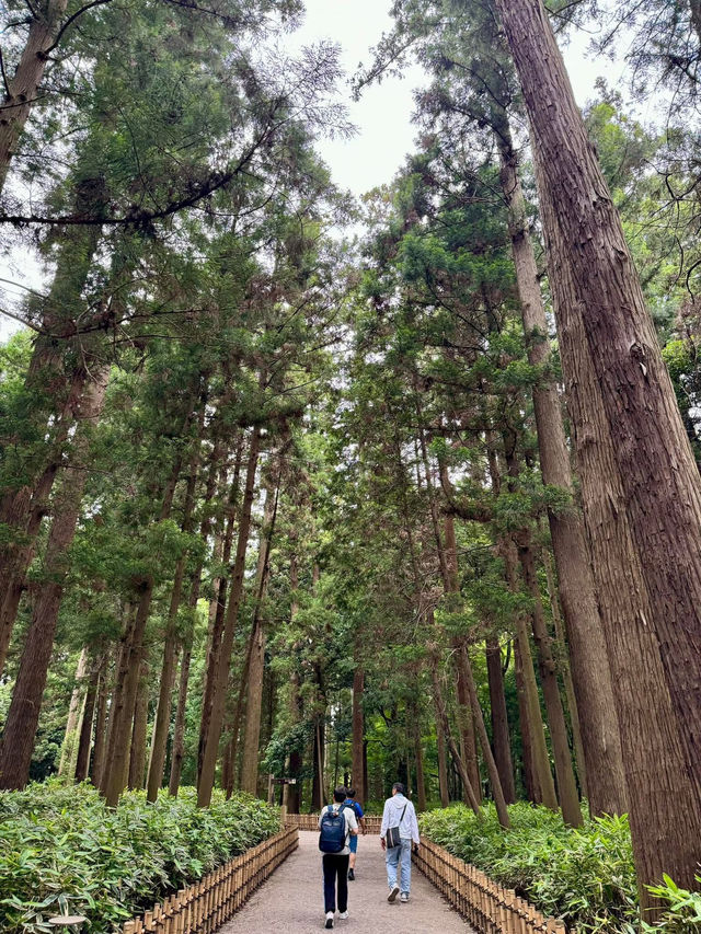 茨城県必遊 日本三大名園 夏日的偕樂園