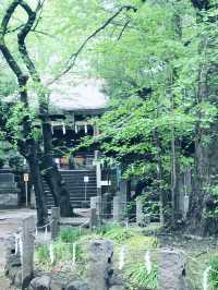 【日暮里 谷中霊園から谷中銀座 谷根千 日暮らしの里散歩】
