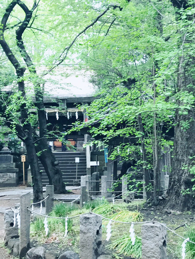 【日暮里 谷中霊園から谷中銀座 谷根千 日暮らしの里散歩】 【日暮里 谷中霊園から谷中銀座 谷根千 日暮らしの里散歩】