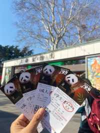 🧸✨ “ตามฝัน…ถึงสวนสัตว์เซี่ยงไฮ้” 🐼🌿