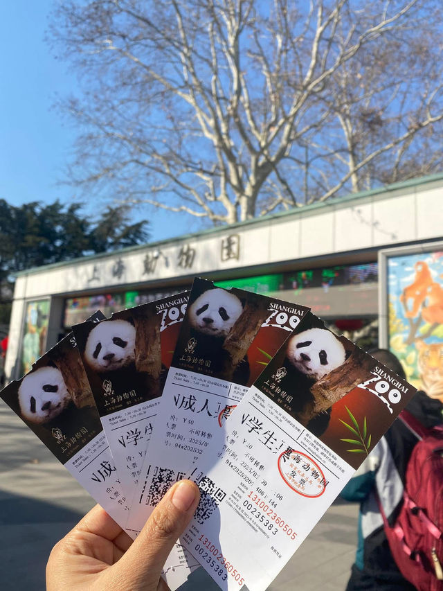 🧸✨ “ตามฝัน…ถึงสวนสัตว์เซี่ยงไฮ้” 🐼🌿