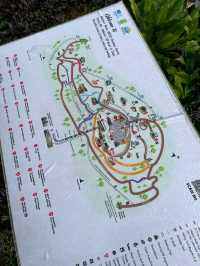 Above the City, Beneath the Trees: Explore The Habitat Penang Hill!