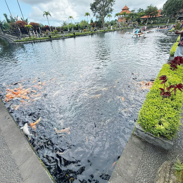 Royal Reflections: The Tranquil Beauty of Tirta Gangga 🇮🇩