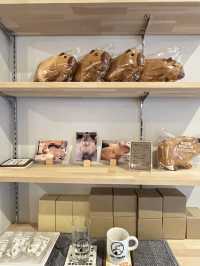 Cafe Capyba – Tokyo’s Cozy Capybara Retreat  