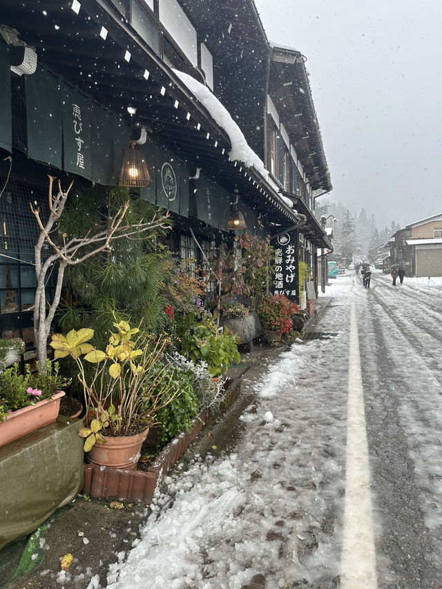 Shirakawago ลุ้นหิมะตกต้นธันวา!