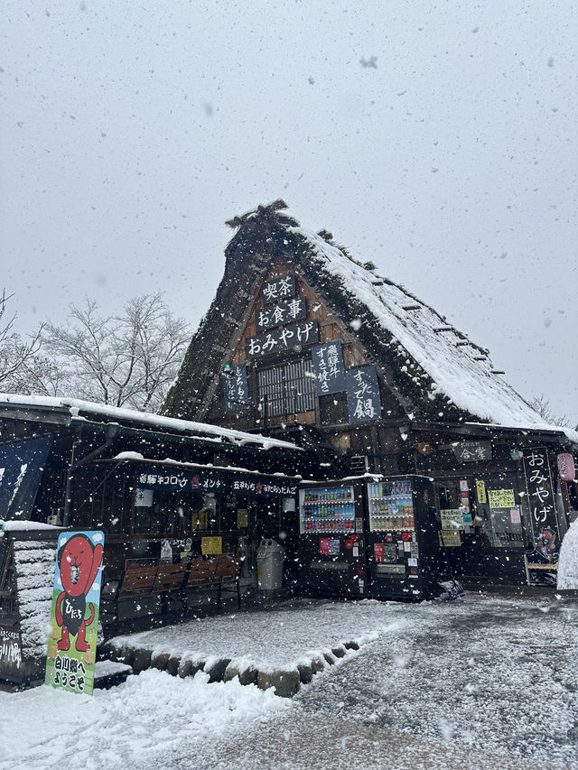 Shirakawago ลุ้นหิมะตกต้นธันวา!