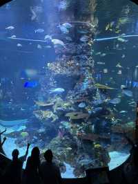 🐠 S.E.A. Aquarium – เปิดโลกใต้ทะเลกลางสิงคโปร์