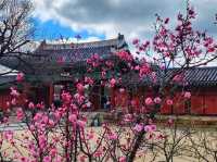 Changgyeonggung Palace Gardens: A Peaceful Green Escape in Seoul