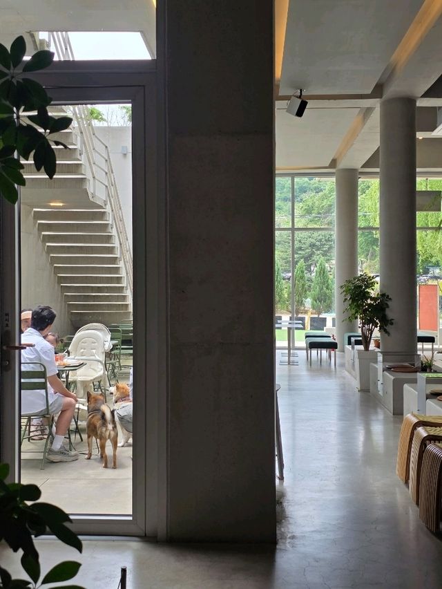 🗺️ 김포 카페투어 가이드