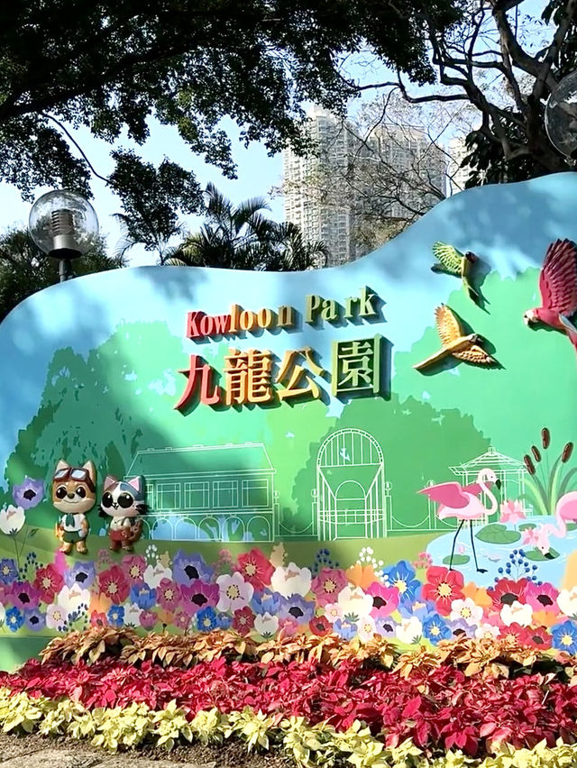 เดินเล่นในสวน Kowloon Park ฮ่องกง🇭🇰