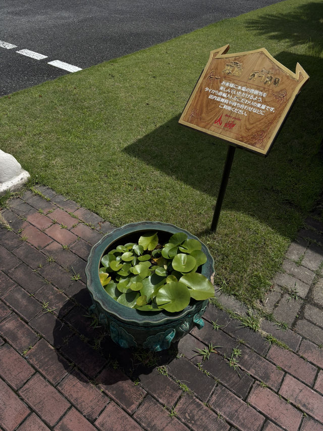 【岡崎】タイ料理ナムチャイ