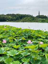 💎🌊 Feicui Lake Scenic Area
