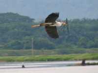 Nature Resorts Valley