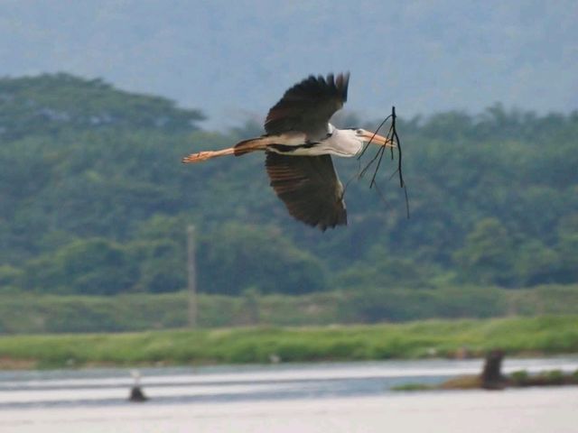 Nature Resorts Valley