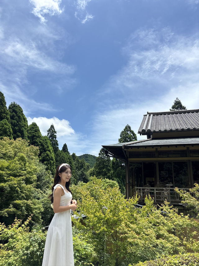아름다운 장면 하나를 보려고 오는 환경예술의 숲💚🌳