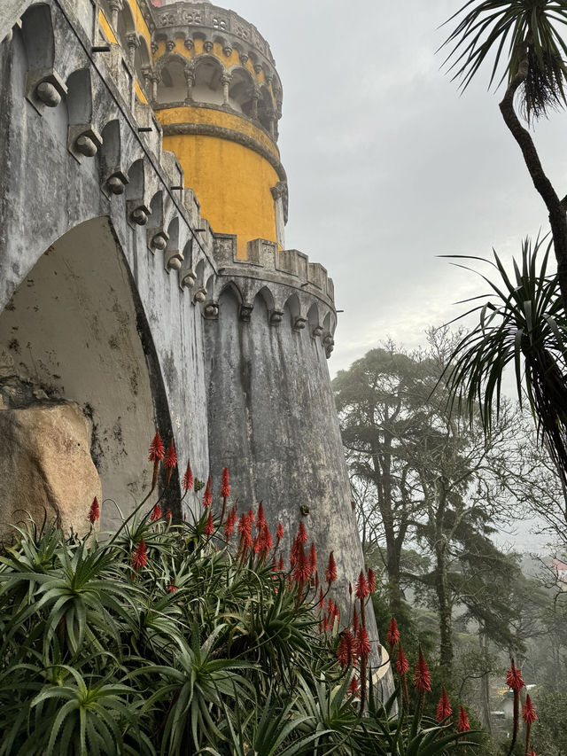 동화 속 성, 신트라 페나 궁전 (Palácio da Pena)