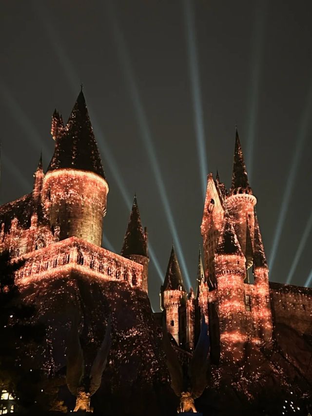From Muggles to Magic: Kids Discover Hogwarts in Beijing