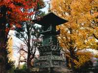 Senso-ji Temple