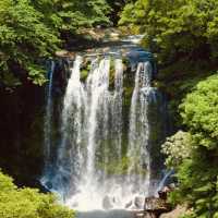 🌿💦 *Cheonjeyeonpokpo Falls (천제연폭포): Jeju’s “Pond of the Gods”* 🌈✨