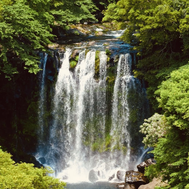 🌿💦 *Cheonjeyeonpokpo Falls (천제연폭포): Jeju’s “Pond of the Gods”* 🌈✨