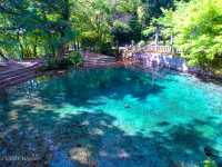 【山口】弁財天のご利益を授かれる「別府弁天池」