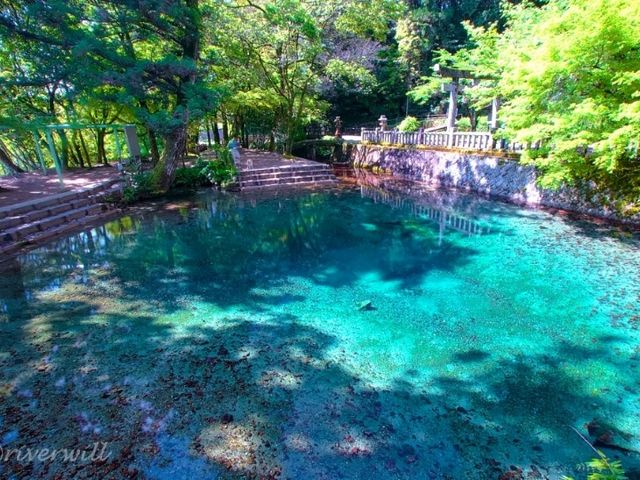 【山口】弁財天のご利益を授かれる「別府弁天池」