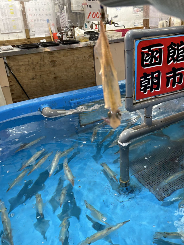 2泊3日札幌函館旅行