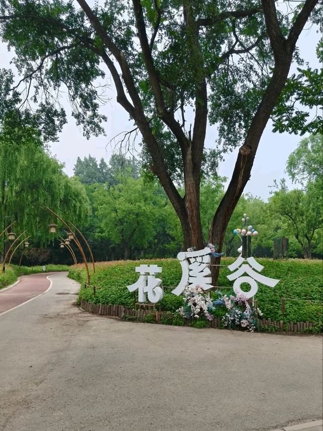Chaoyang Park – CBD’s Secret Garden in Full Bloom
