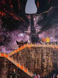 Beyond the Clouds: The Secret of Tianmen’s Sky Gate