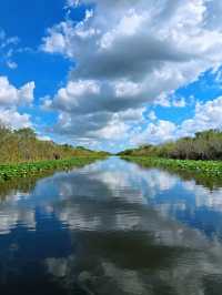 Gliding Through the Everglades｜An Unforgettable Airboat Adventure 🐊🌿🚤