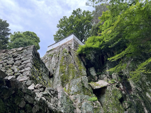 🏯【備中松山城】雲海に浮かぶ天空の城で絶景と歴史に出会う旅