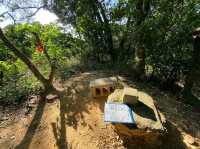Explore the Historical and Natural Beauty of Tiaomi Historic Trail