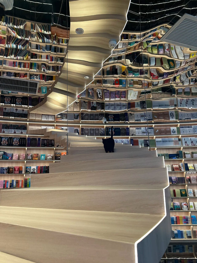 Shanghai’s most surreal bookstore 📚✨