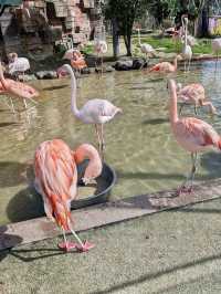 A compact amusement park at the foot of Omoriyama Zoo in Akita City
