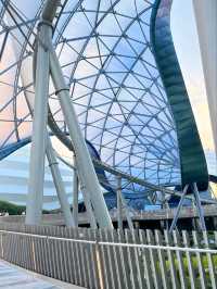Ride in lightspeed and in style with Tron : Shanghai Disneyland
