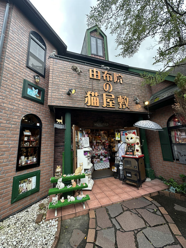 由布院觀光☺️感覺似是進入千與千尋世界