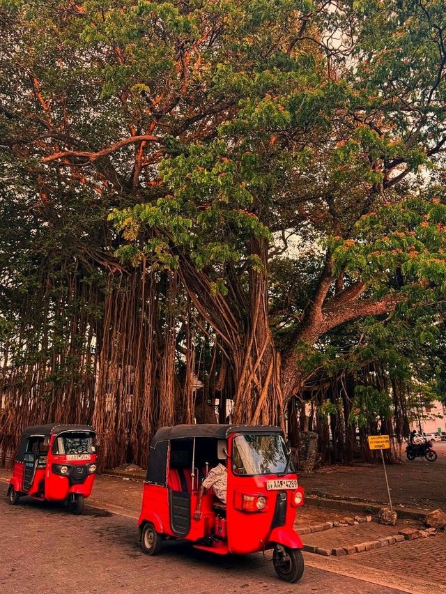 Galle Dutch Fort – Where Colonial Charm Meets Coastal Beauty
