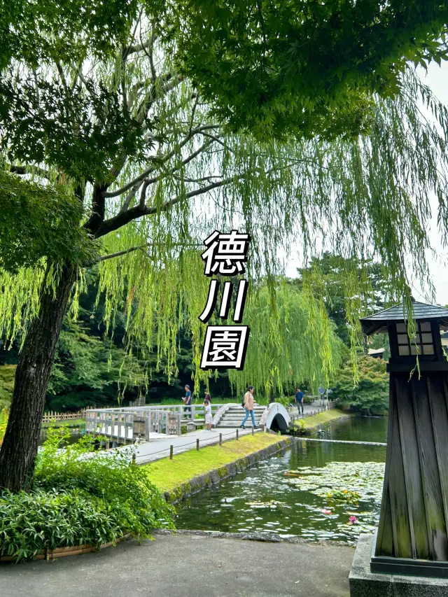 🇯🇵日本✈️名古屋池泉式庭園德川園