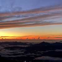 Kota Kinabalu to Kundasang: A Journey Through Sabah’s Soul
