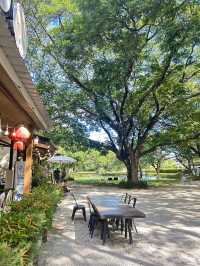 🍲 รีวิว : กินกับกง (Kin Kub Gong) – ลำปาง