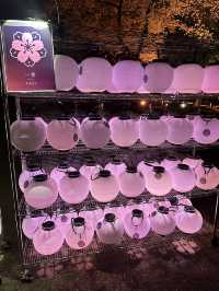 🌸 NAKED 桜の新宿御苑|デジタルと桜が融合する夜のお花見